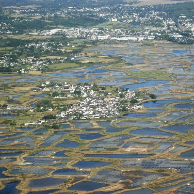 Les Marais Salants